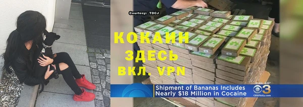 стаф Белоозёрский