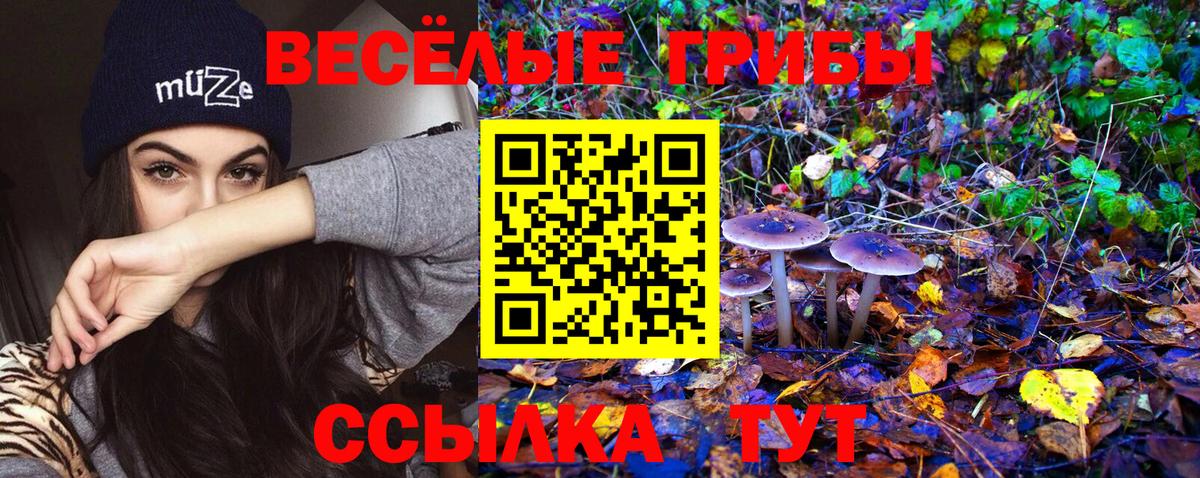 Галлюциногенные грибы прущие грибы Амурск