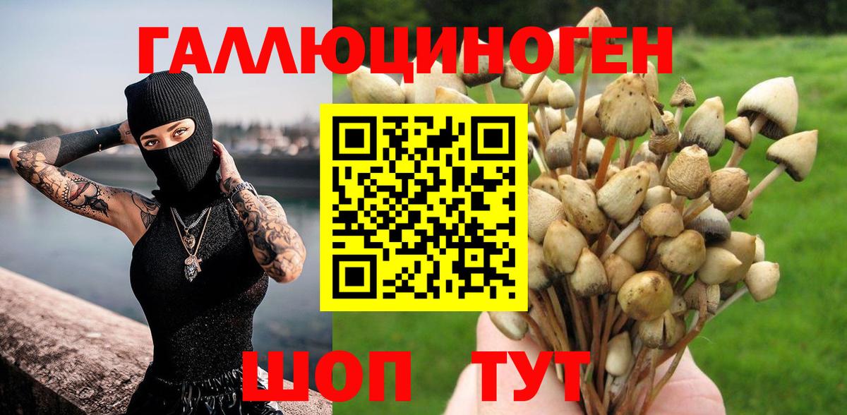 Галлюциногенные грибы Cubensis  Вход с VPN  Амурск  Псилоцибиновые грибы Psilocybe 