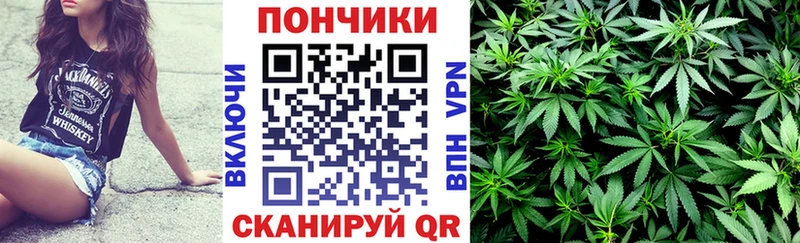 дарнет шоп  ссылка на мегу   Канабис конопля  Амурск 